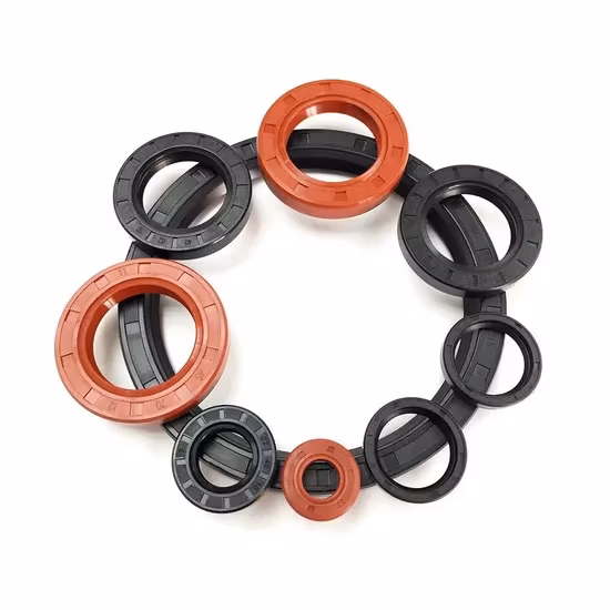 EPDM HNBR Neoprene Silicone FKM NBR SC TC Paraolio scheletro per tenuta idraulica Nero Marrone Rosso doppio labbro labbro singolo